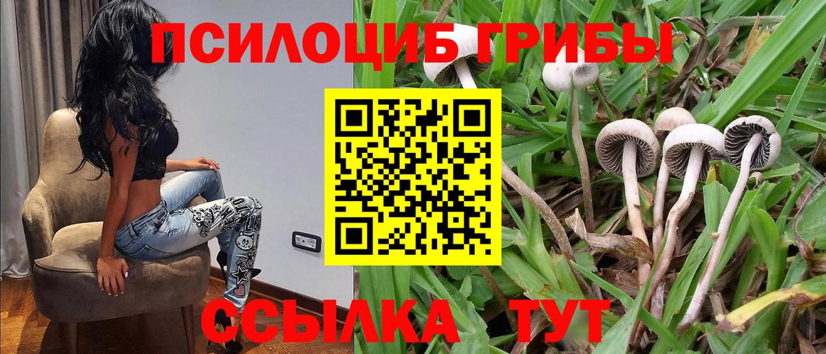 Псилоцибиновые грибы Magic Shrooms Шелехов