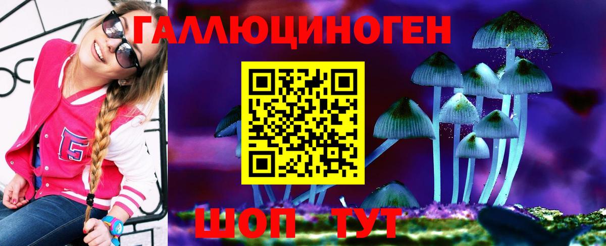 Галлюциногенные грибы Psilocybe  Вход с VPN  Шелехов 